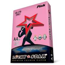 Lucky Star CS 170 Pink Colour A4 Paper 80 Gsm 450 sheets